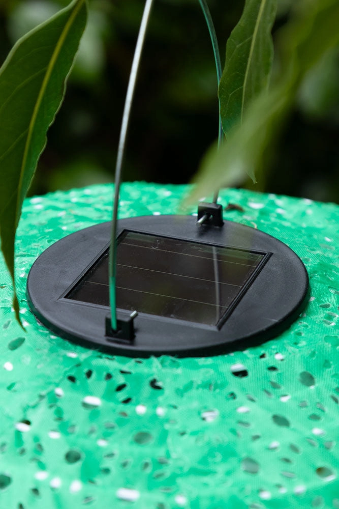 Green Hanging Outdoor Solar Lantern