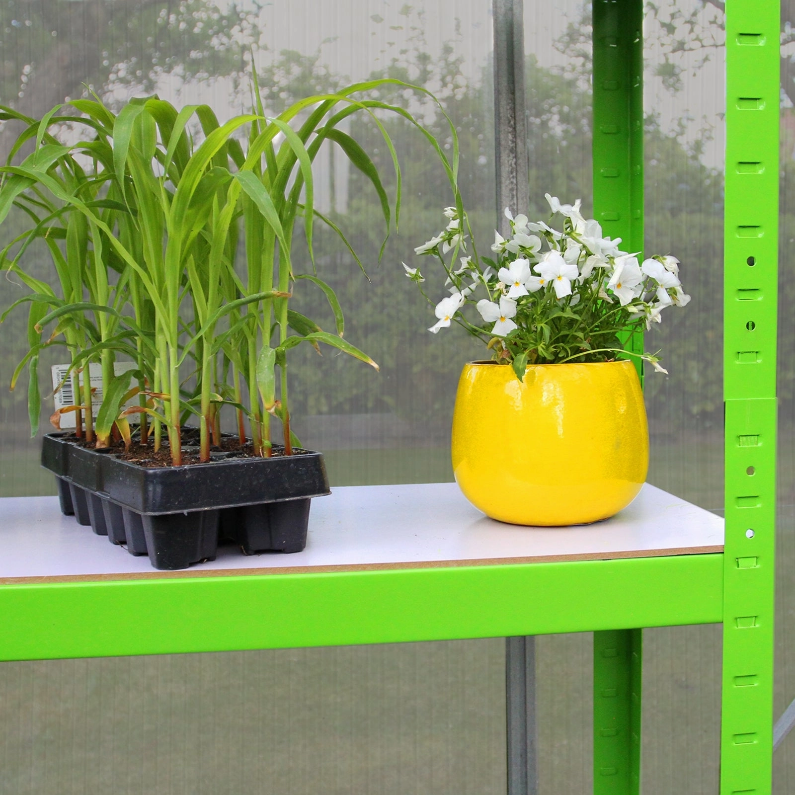 Greenhouse 6ft x 4ft And 2 x Water-resistant Racks