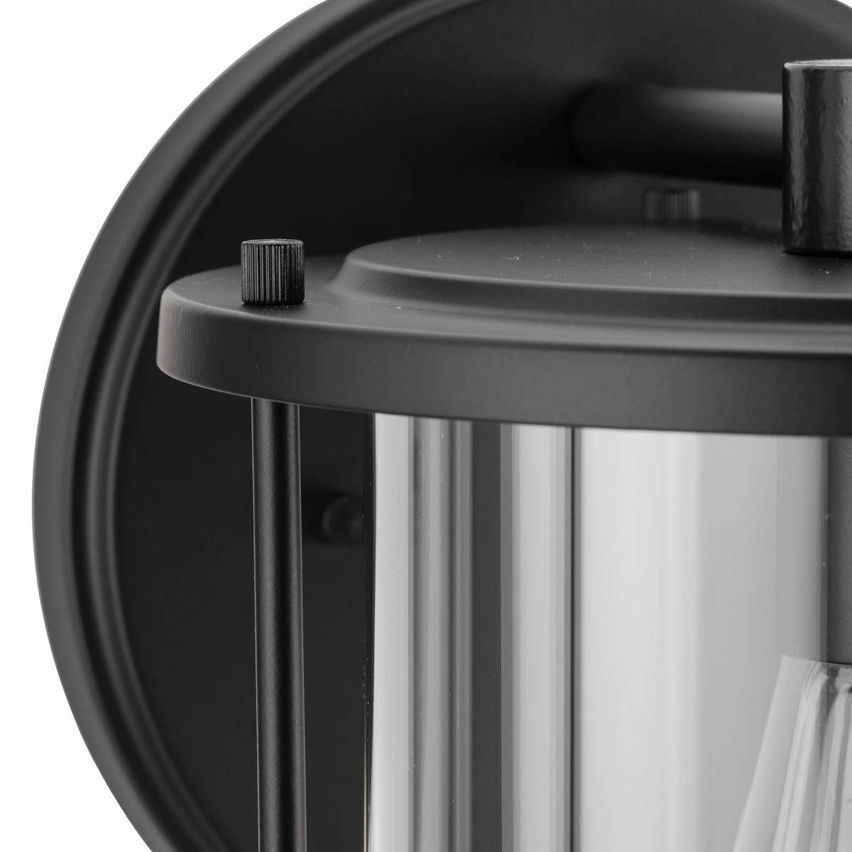 Gunther 1-Light Outdoor Wall Light