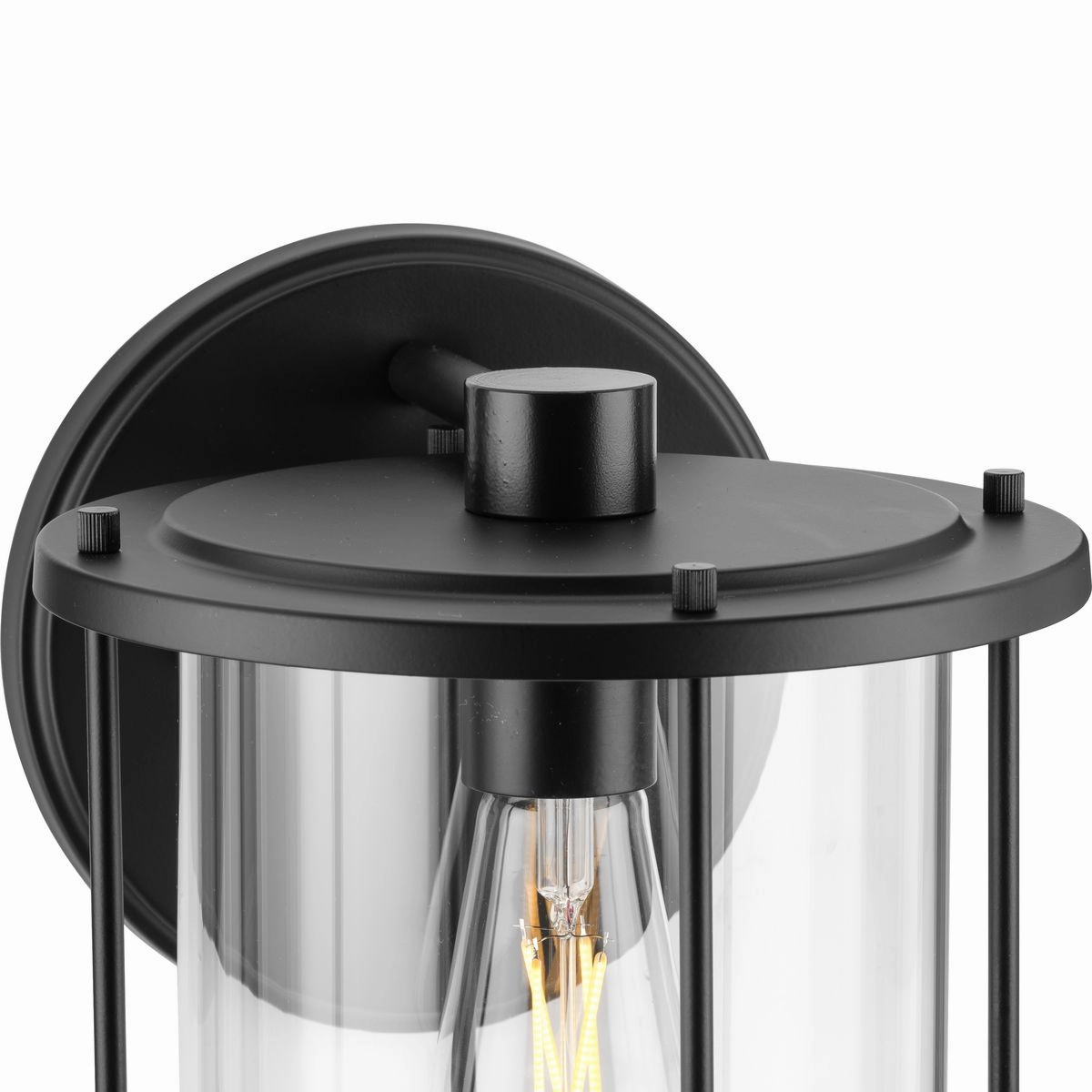 Gunther 1-Light Outdoor Wall Light