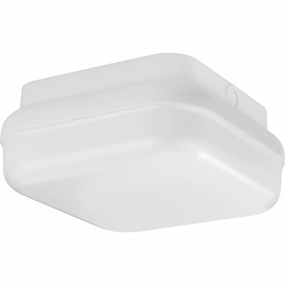 Hard Nox Outdoor Ceiling LightWeatherproof outdoor lighting