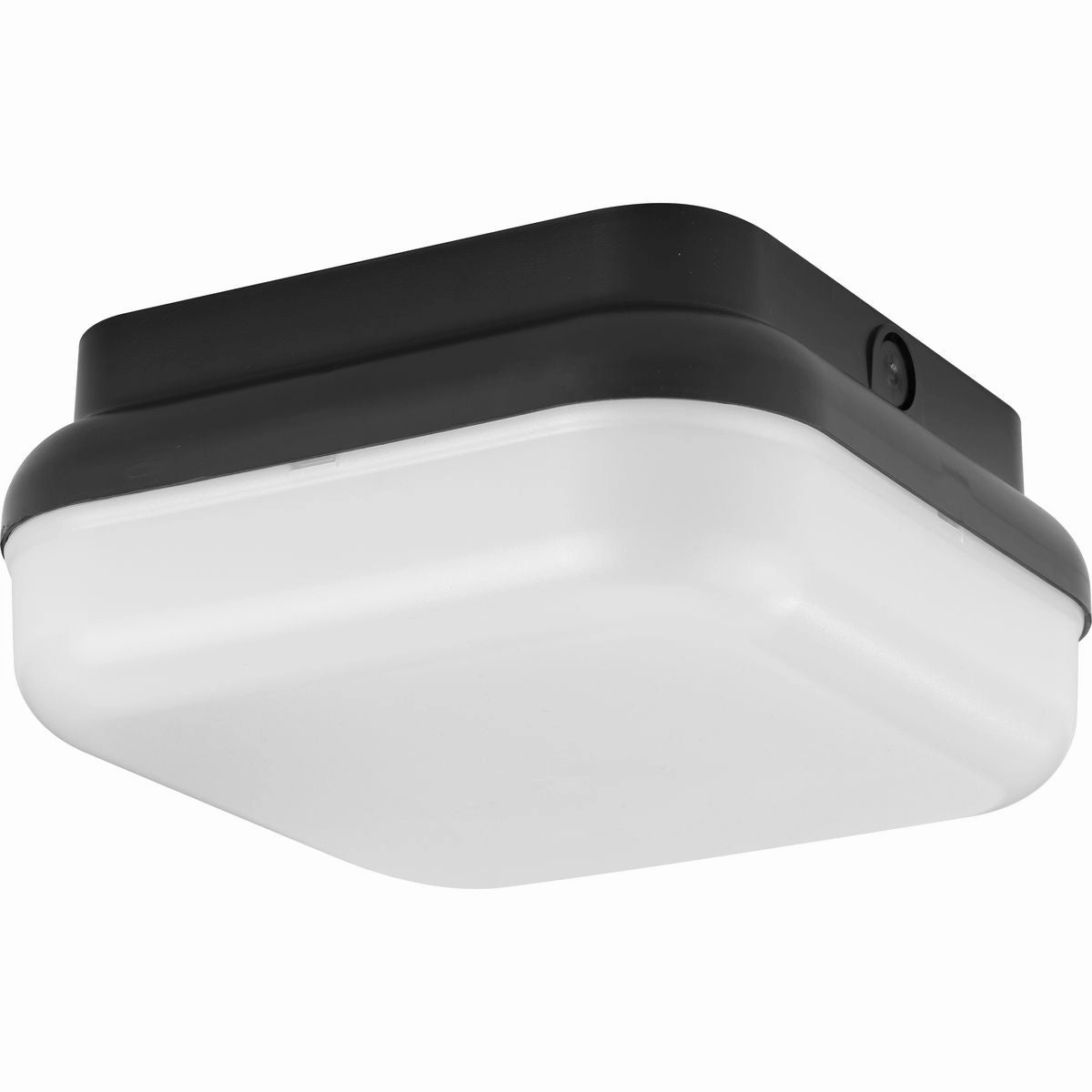 Hard Nox Outdoor Ceiling Light