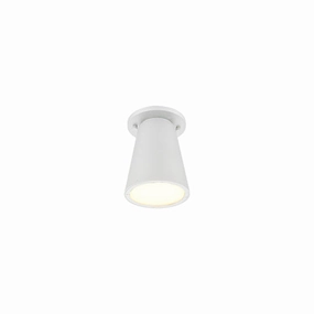 Hartford Outdoor Ceiling LightWeatherproof outdoor lighting