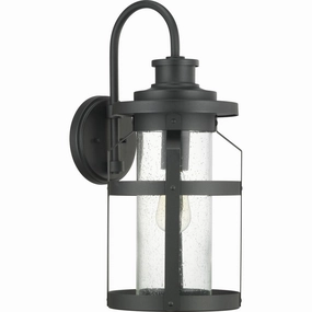 Haslett Outdoor Wall LightWeatherproof outdoor lighting