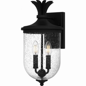 Havana 2-Light Medium Outdoor LanternWeatherproof outdoor lighting