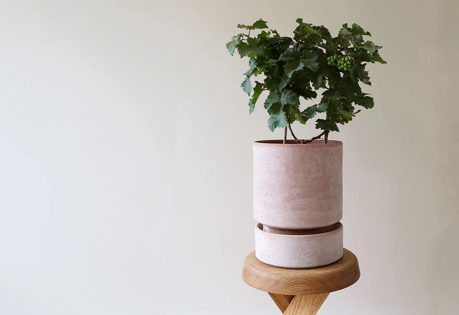 Hoff Planter