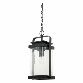 Homestead 1-Light Outdoor PendantWeatherproof outdoor lighting