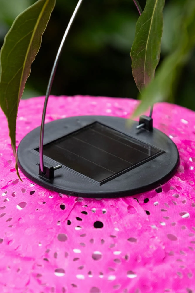Hot Pink Hanging Outdoor Solar Lantern