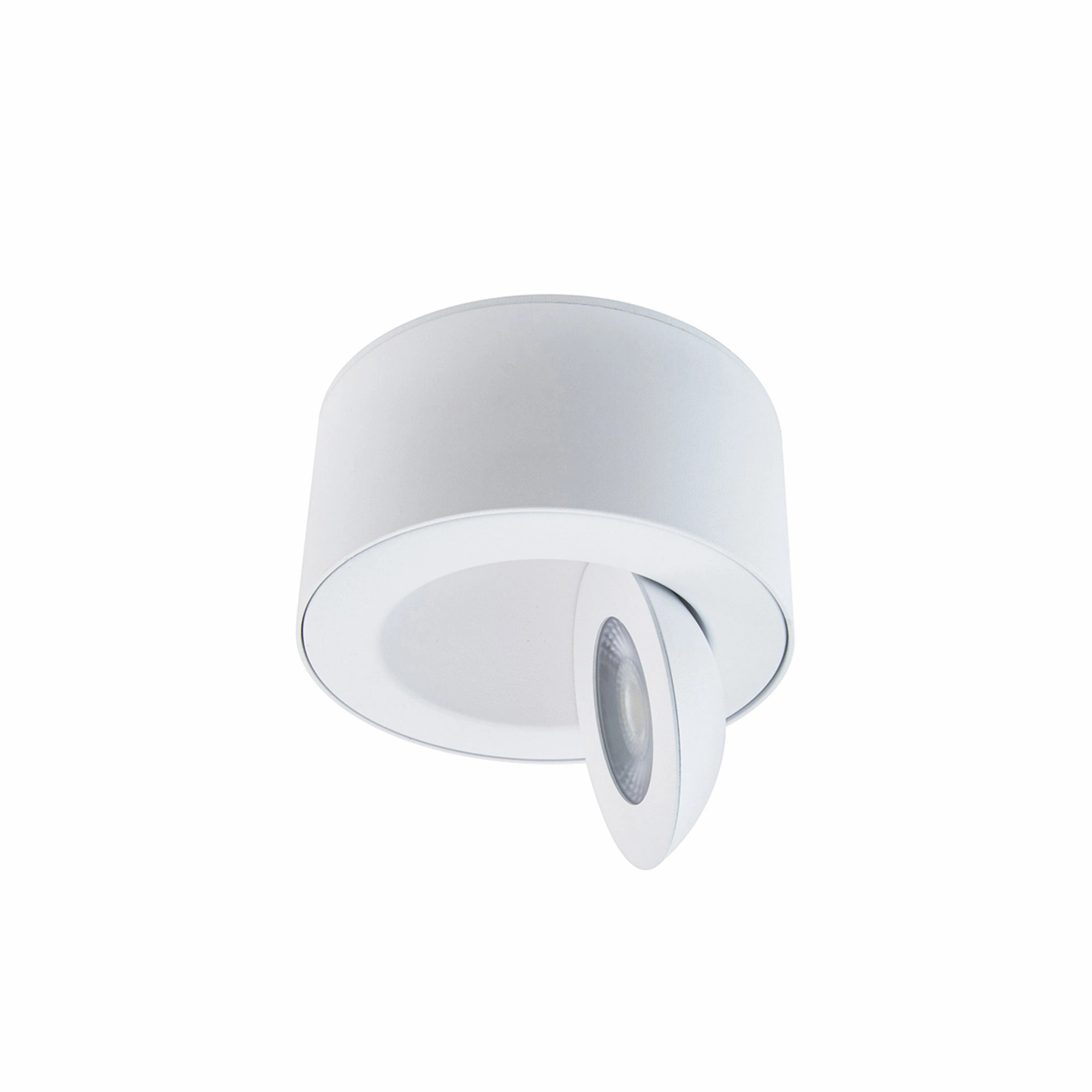 I Spy 5" LED Outdoor Flush Mount 3-CCT