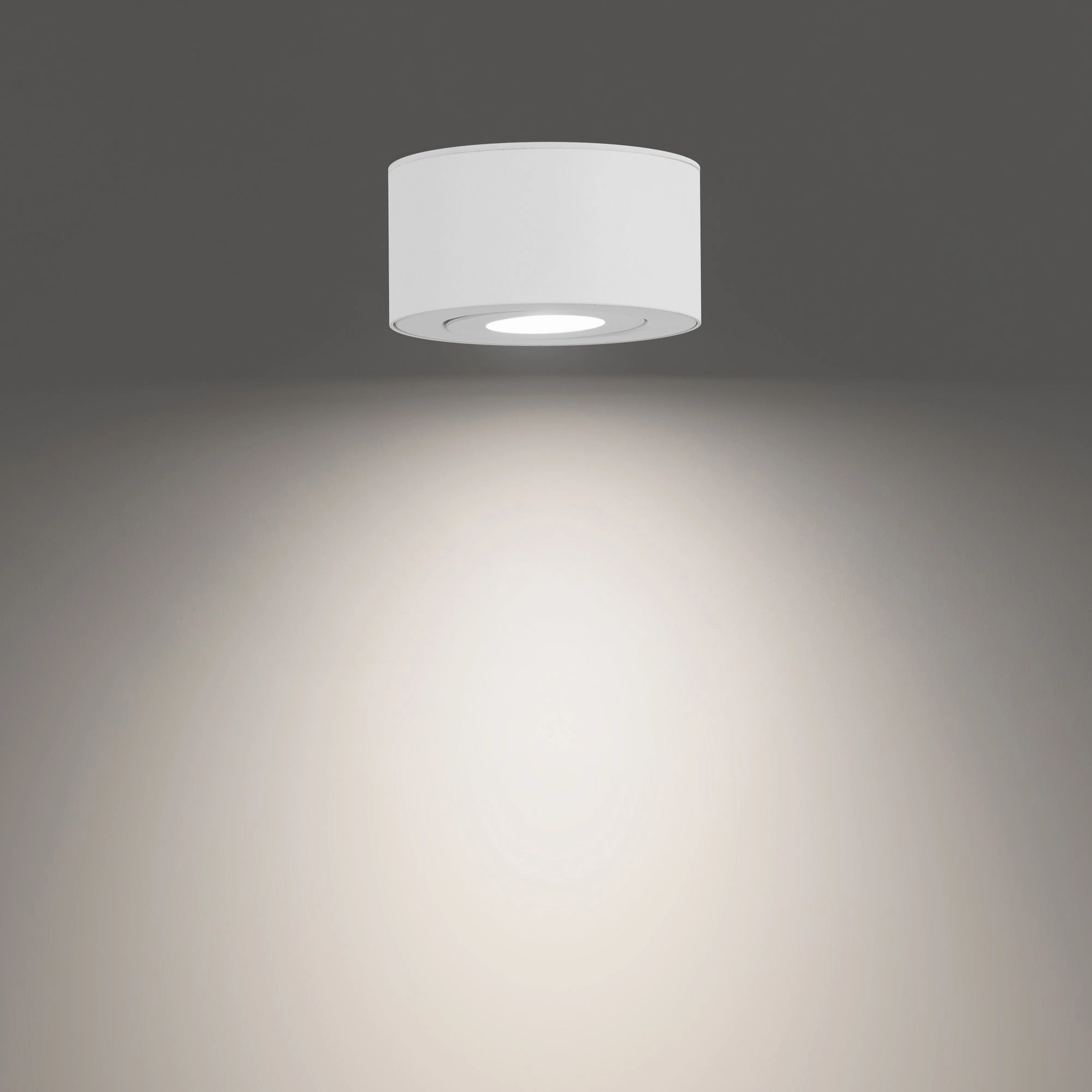 I Spy 5" LED Outdoor Flush Mount 3-CCT