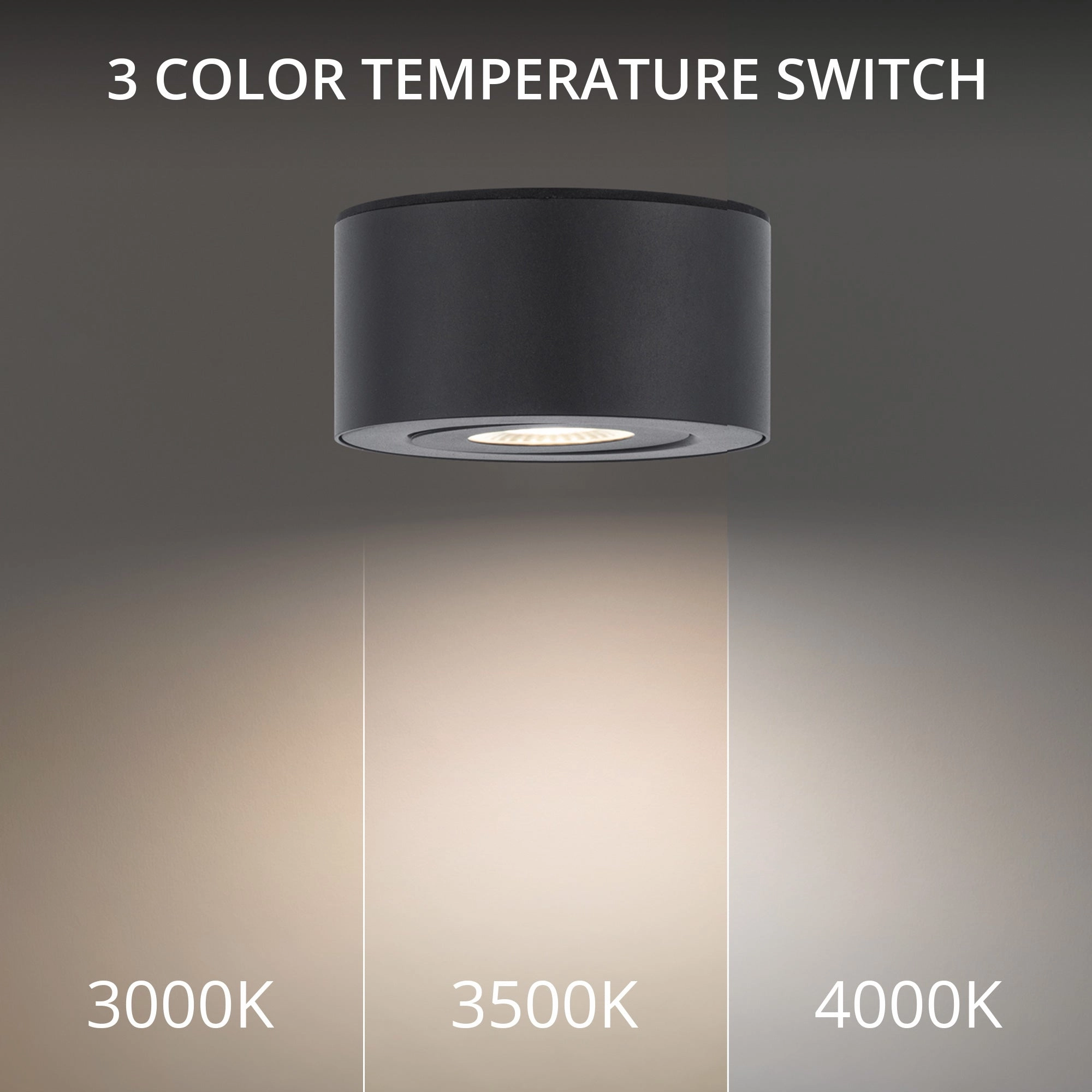 I Spy 5" LED Outdoor Flush Mount 3-CCT