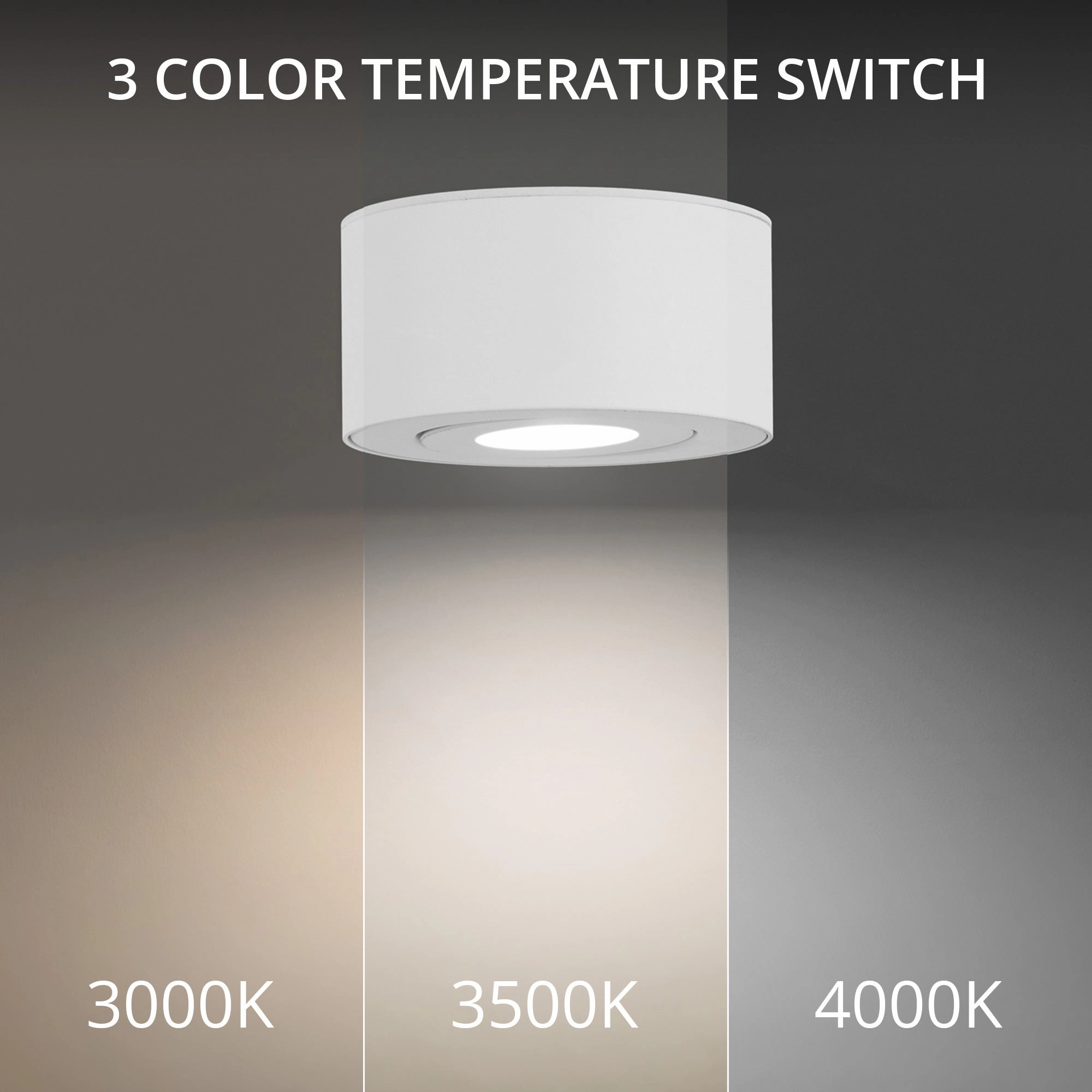 I Spy 5" LED Outdoor Flush Mount 3-CCT