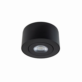 I Spy 5" LED Outdoor Flush Mount 3-CCTWeatherproof outdoor lighting