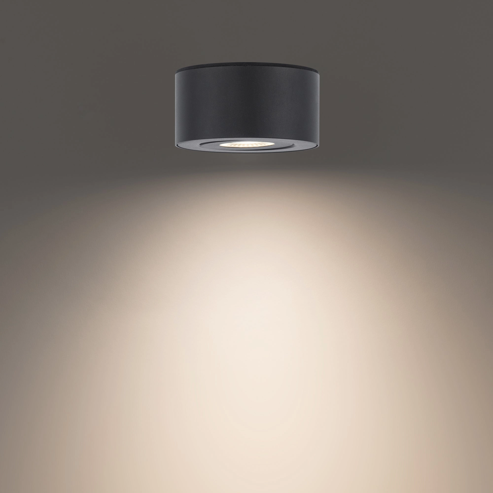 I Spy 5" LED Outdoor Flush Mount 3-CCT