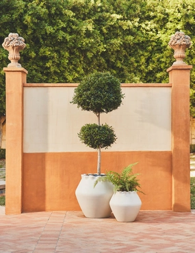 Jaziel Indoor/Outdoor Planter mini herb garden planters for kitchen