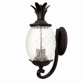 Lanai Outdoor Wall LightWeatherproof outdoor lighting