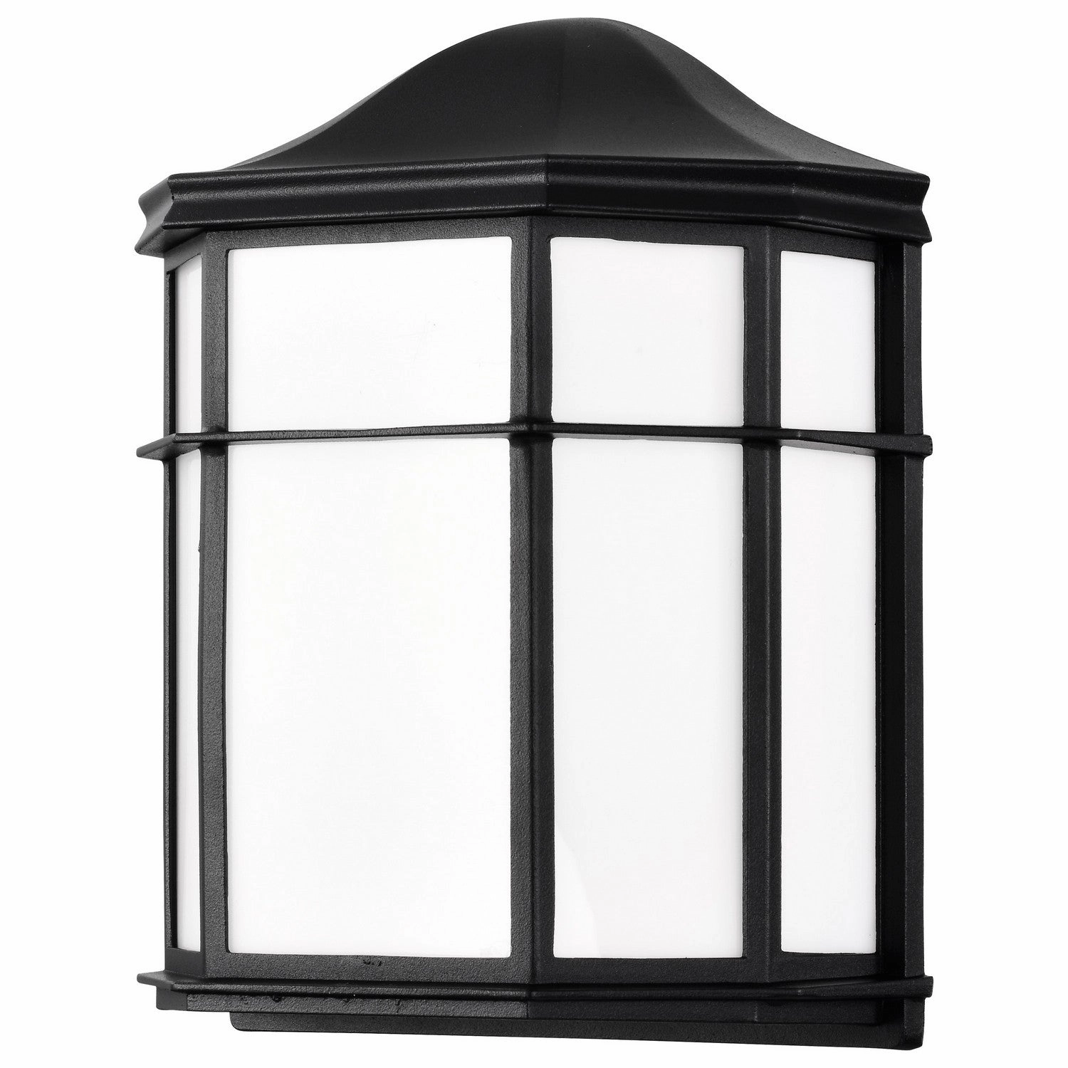 LED Cage Lantern Fixture Black