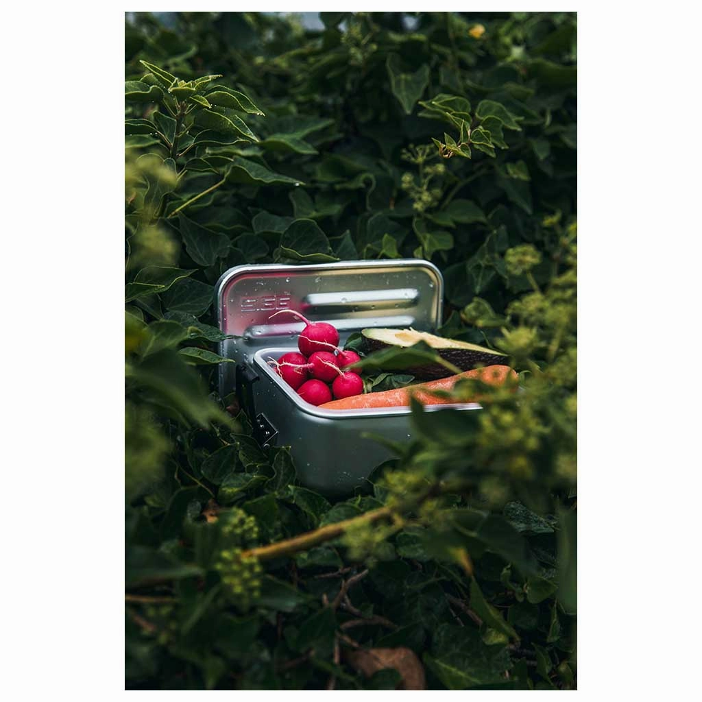 Lunchbox Plus