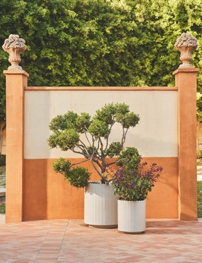 Mowry Indoor/Outdoor Planteroutdoor garden decorative ornaments