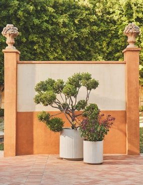 Mowry Indoor/Outdoor Planter mini herb garden planters for kitchen