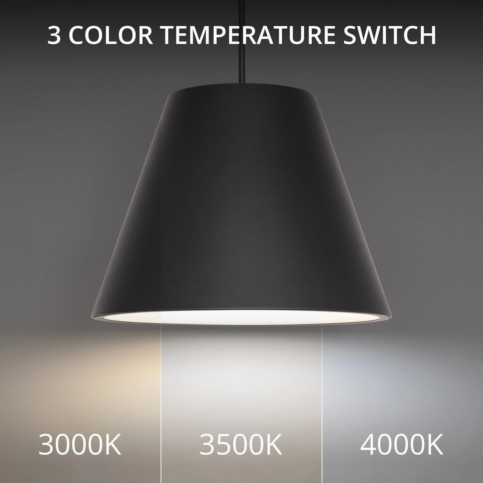 Myla 20" LED Outdoor Pendant
