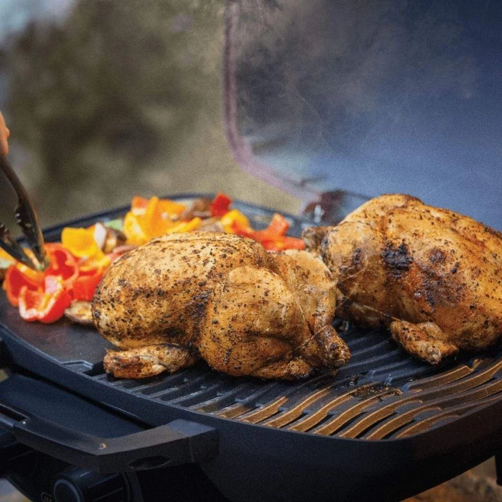 Napoleon TravelQ 285 with Griddle Portable Liquid Propane Gas Grill TQ285-RD-1-A