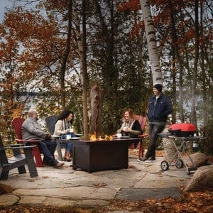 Napoleon TravelQ 285x with Scissor Cart Liquid Propane Portable Gas Grill TQ285X-RD-1-A