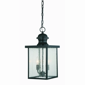 Newberry Outdoor PendantWeatherproof outdoor lighting