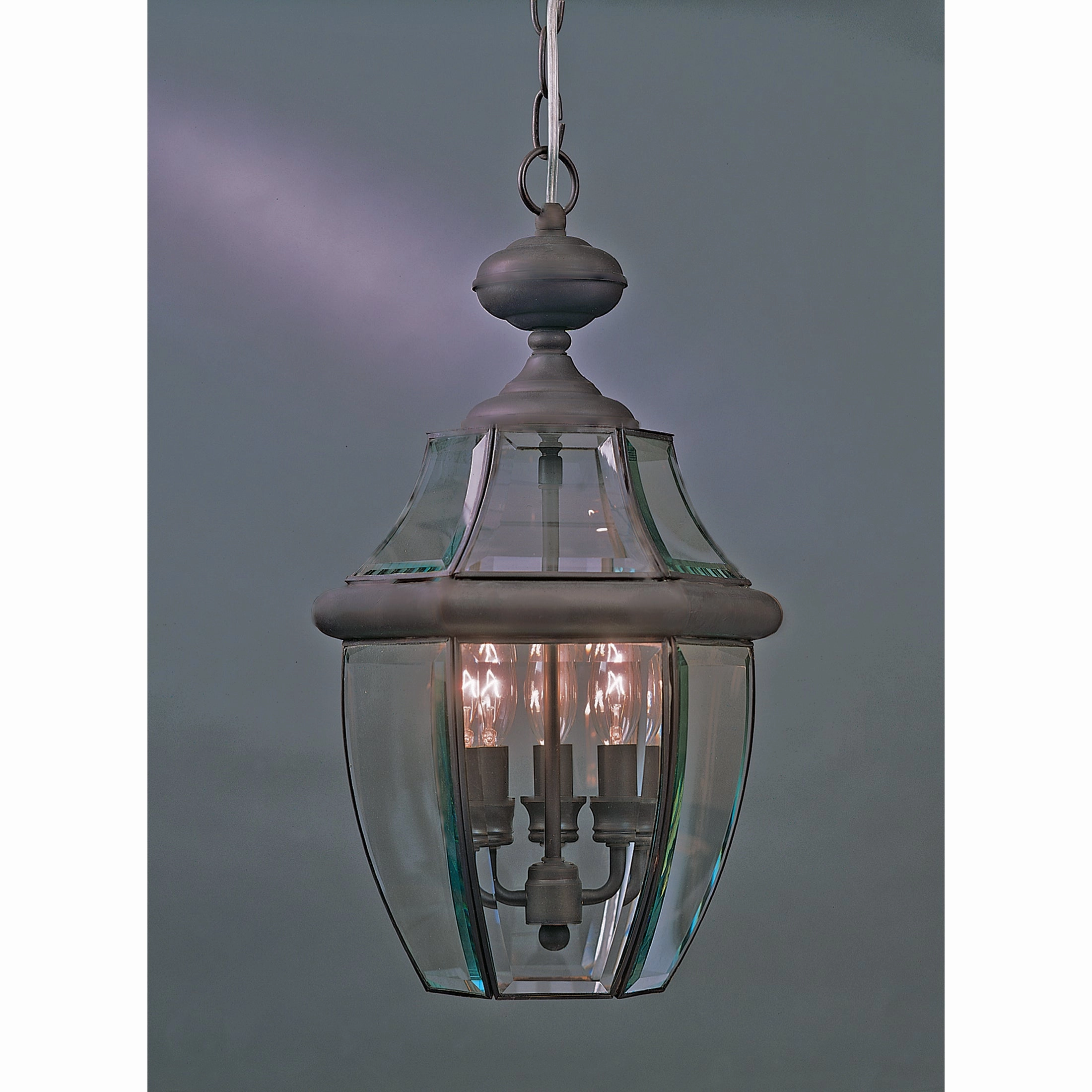 Newbury Outdoor PendantWeatherproof outdoor lighting