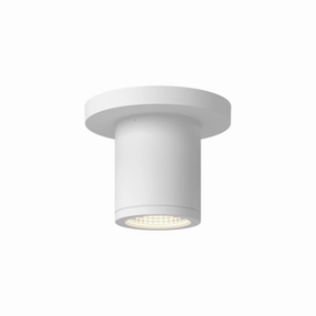 Nordic 3" (2" Dia.) LED Exterior CeilingWeatherproof outdoor lighting