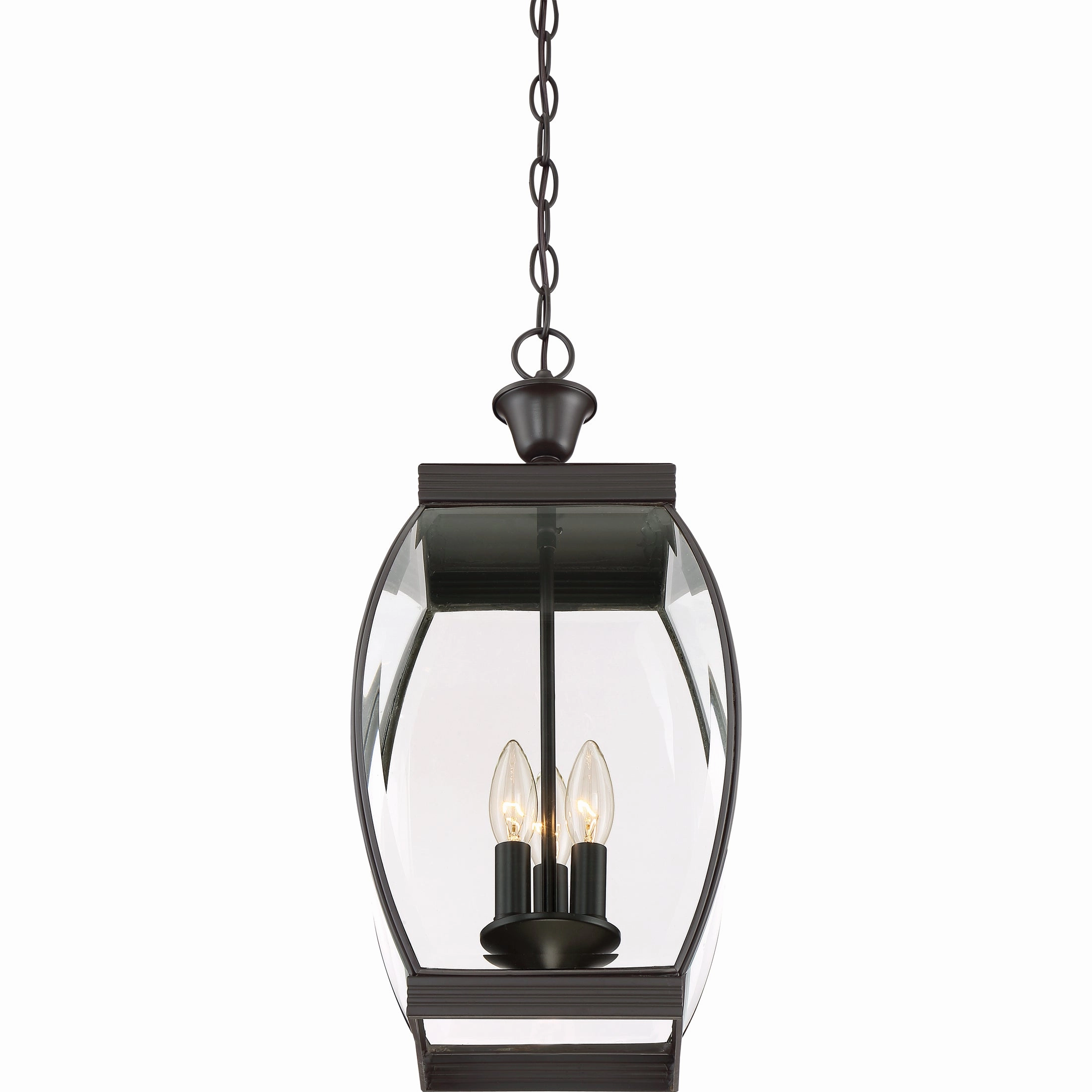 Oasis Outdoor Pendant