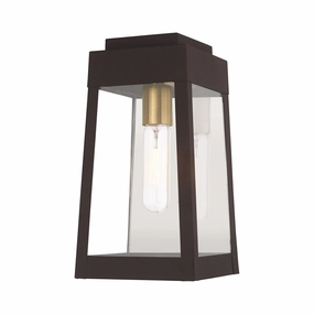 Oslo One Light Outdoor Wall Lantern Bronze w/ Antique Brass and Polished Chrome Stainless SteelOutdoor wall sconces with motion sensor