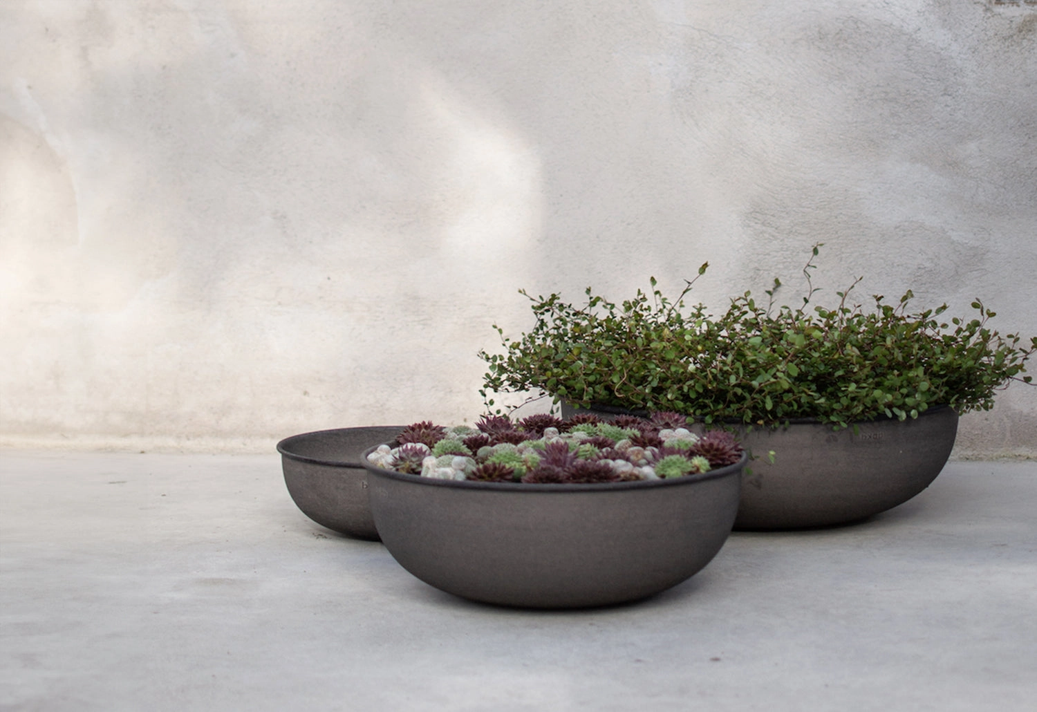 Out Low Bowl Planter