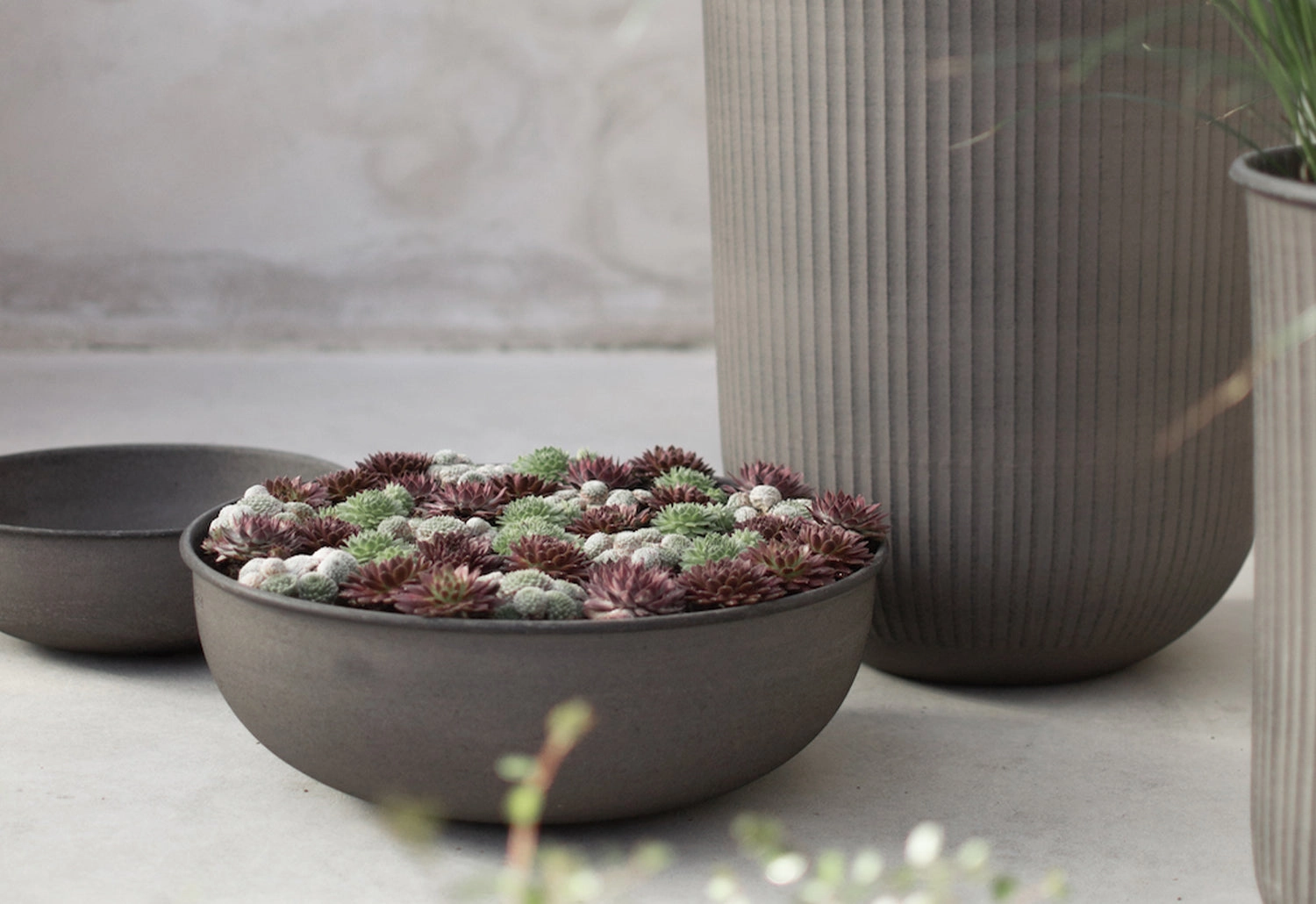 Out Low Bowl Planter