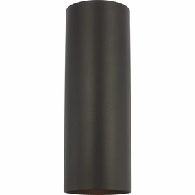 Outdoor Cylinders Medium 2-Light Wall LanternWeatherproof outdoor lighting