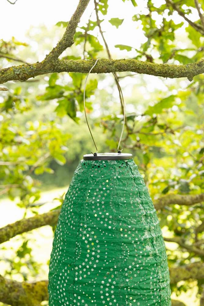 Oval Shaped Green Outdoor Garden Lantern