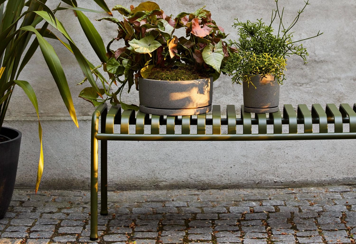 Palissade Bench