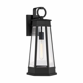 Payne 1-Light Outdoor Wall LanternWeatherproof outdoor lighting
