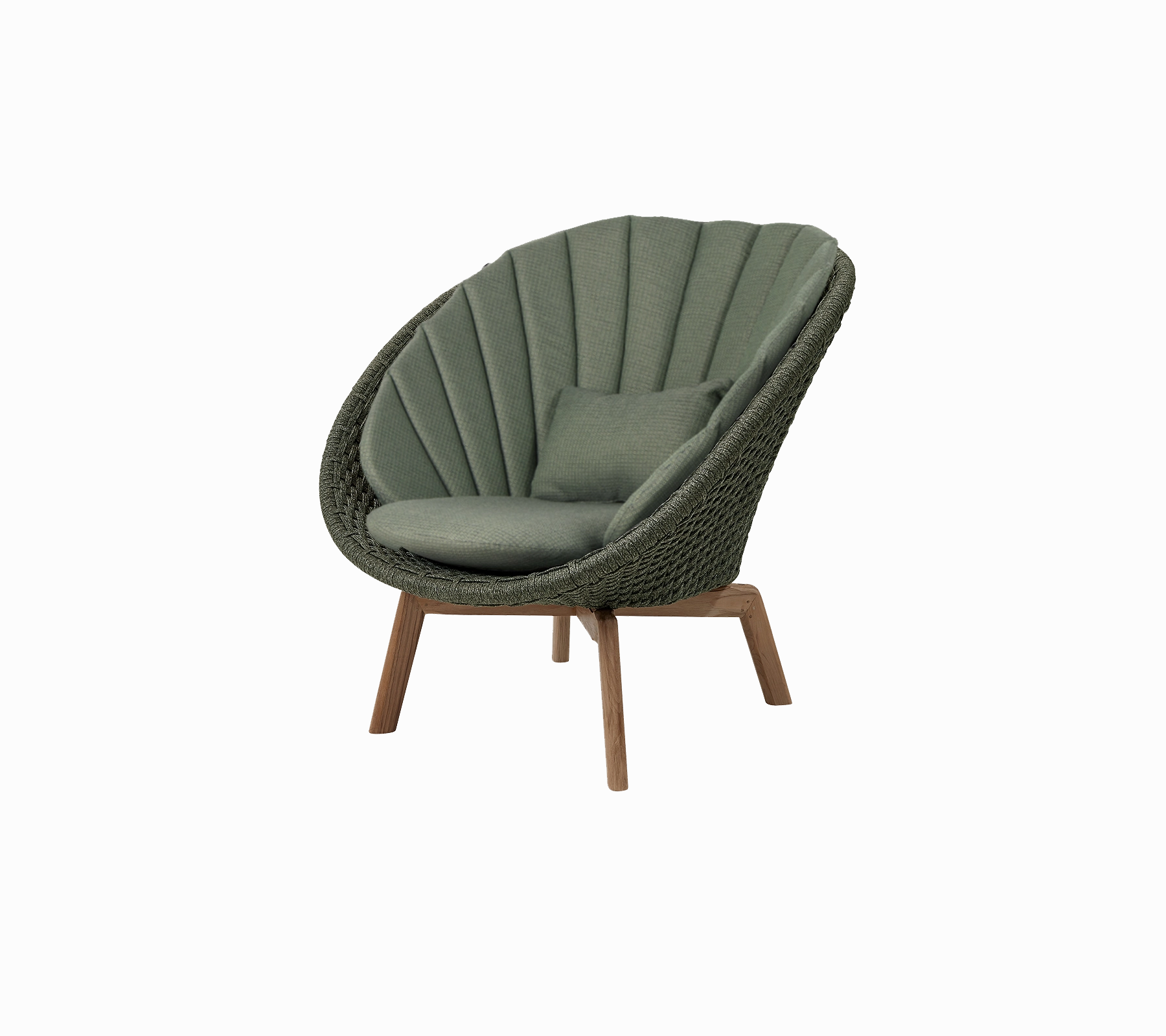 Peacock lounge chair