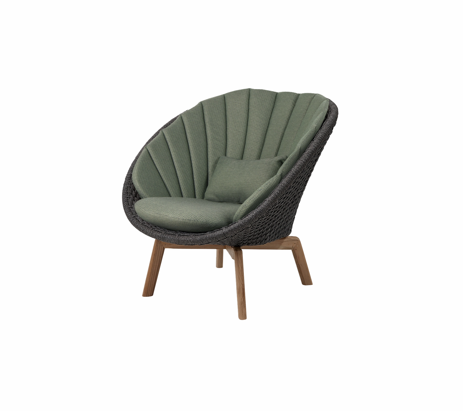 Peacock lounge chair
