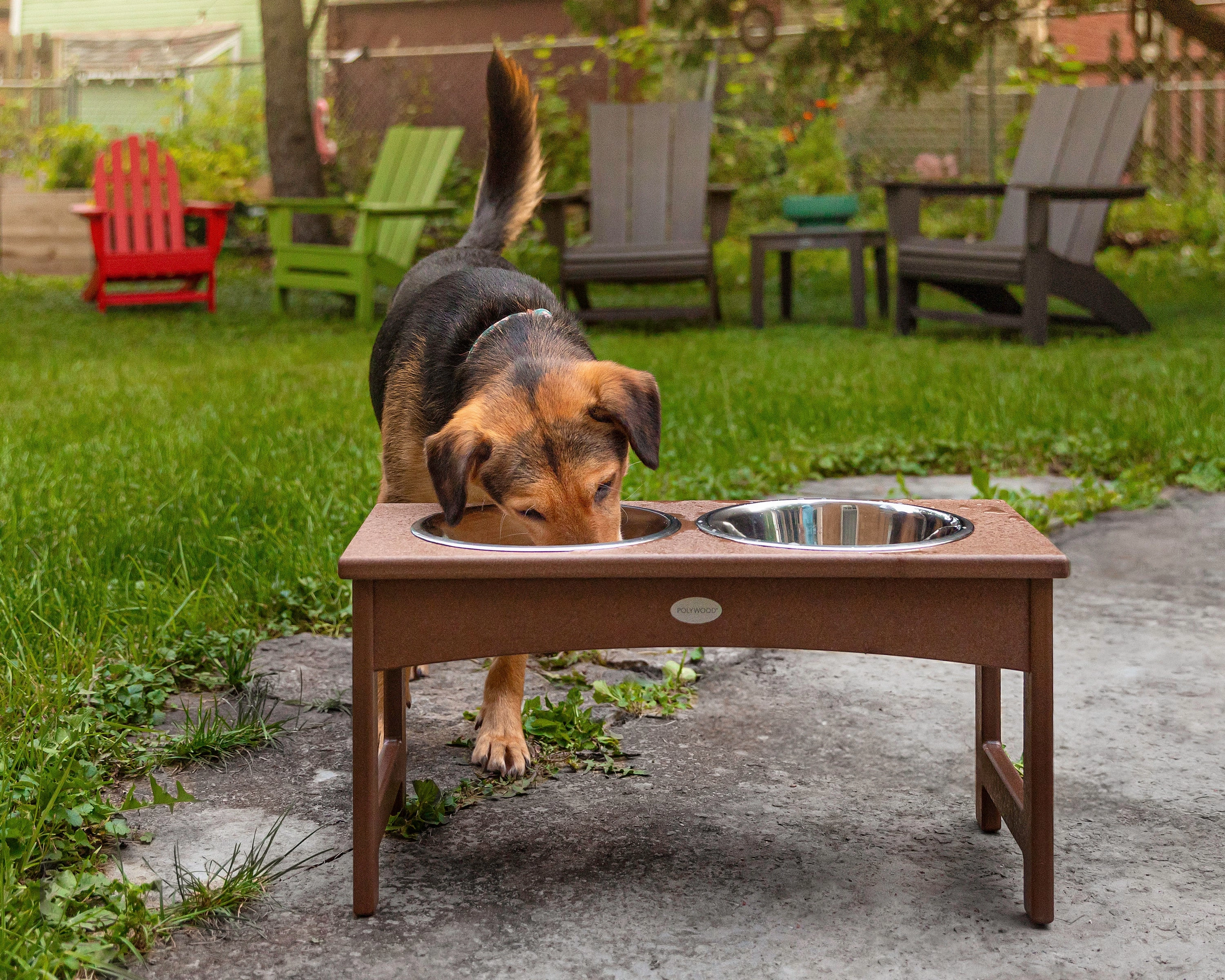 Pet Feeder