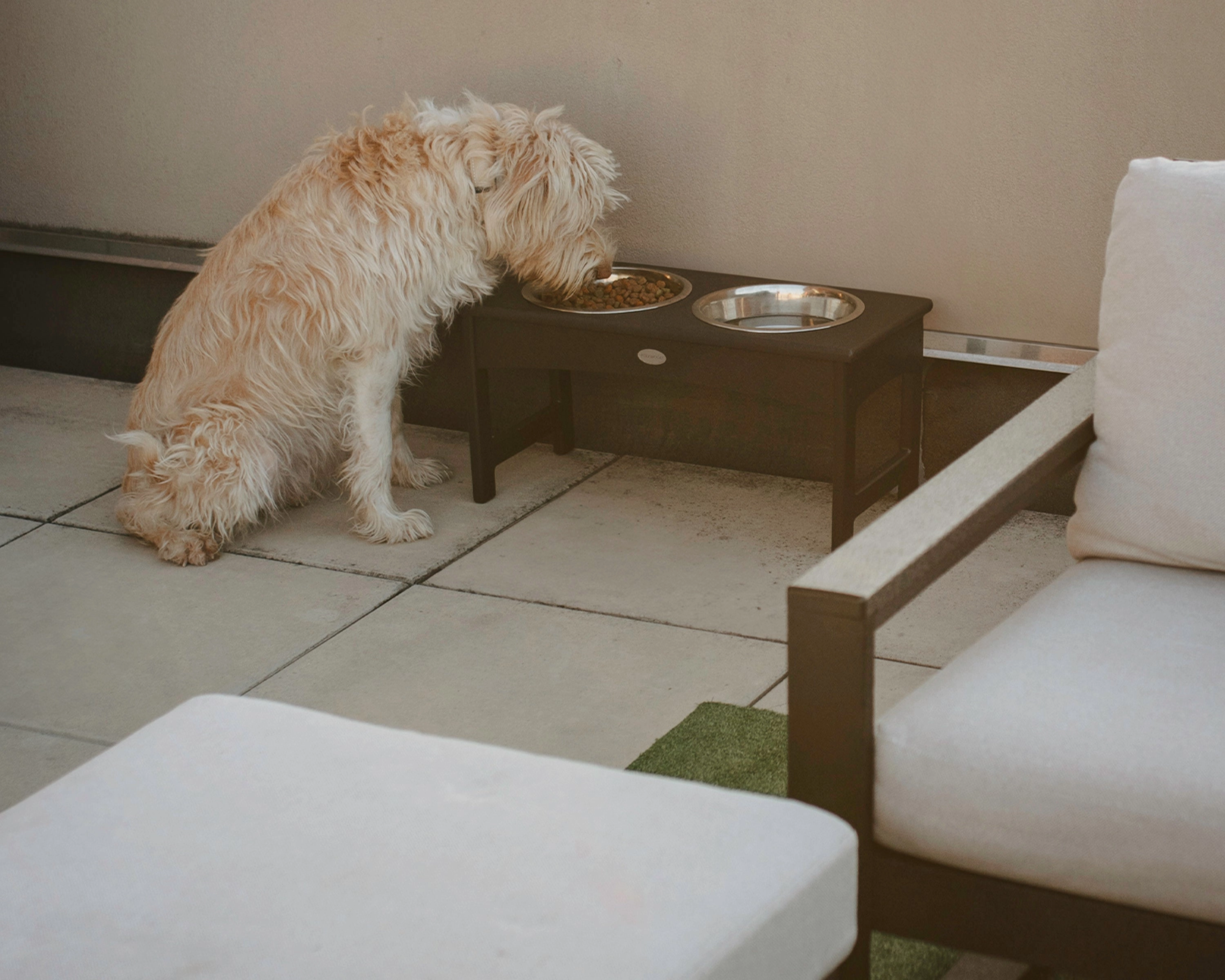 Pet Feeder