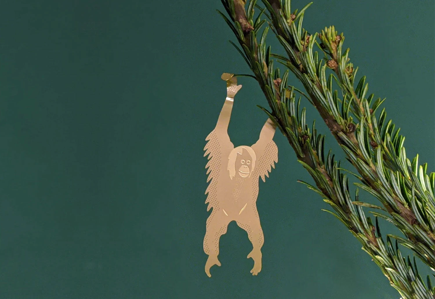 Plant Animals