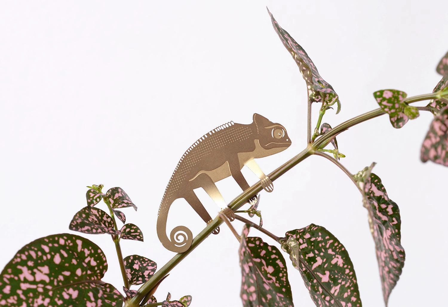 Plant Animals