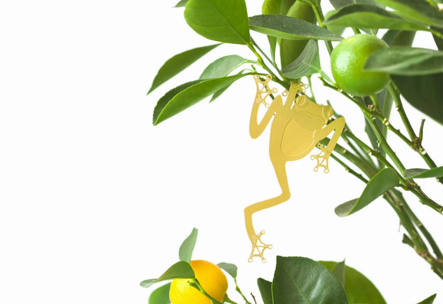 Plant Animals