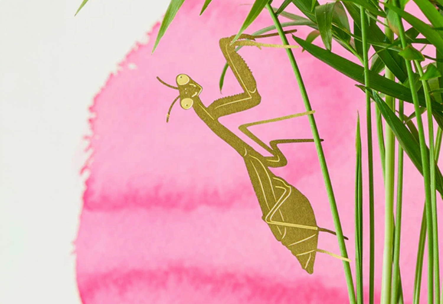 Plant Animals