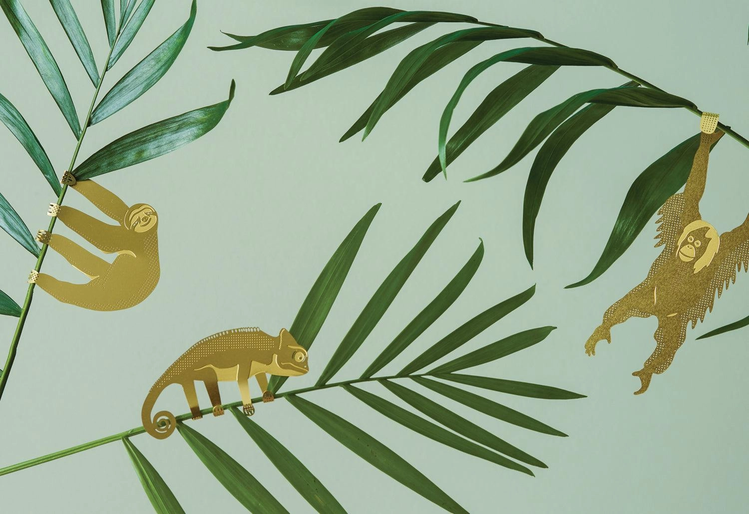 Plant Animals
