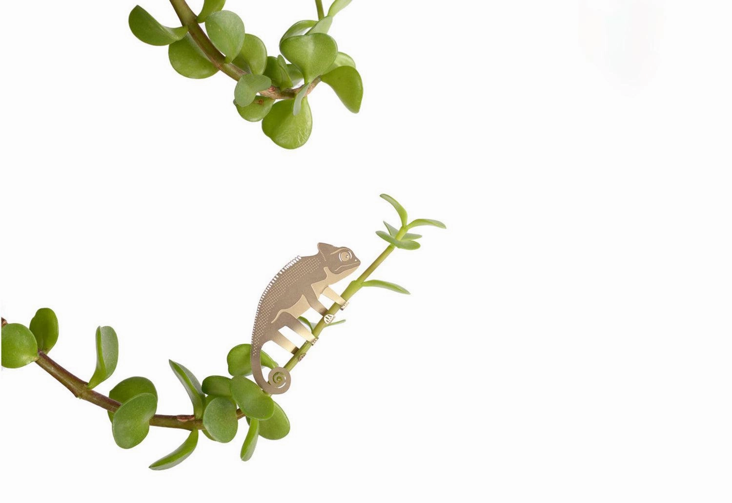 Plant Animals
