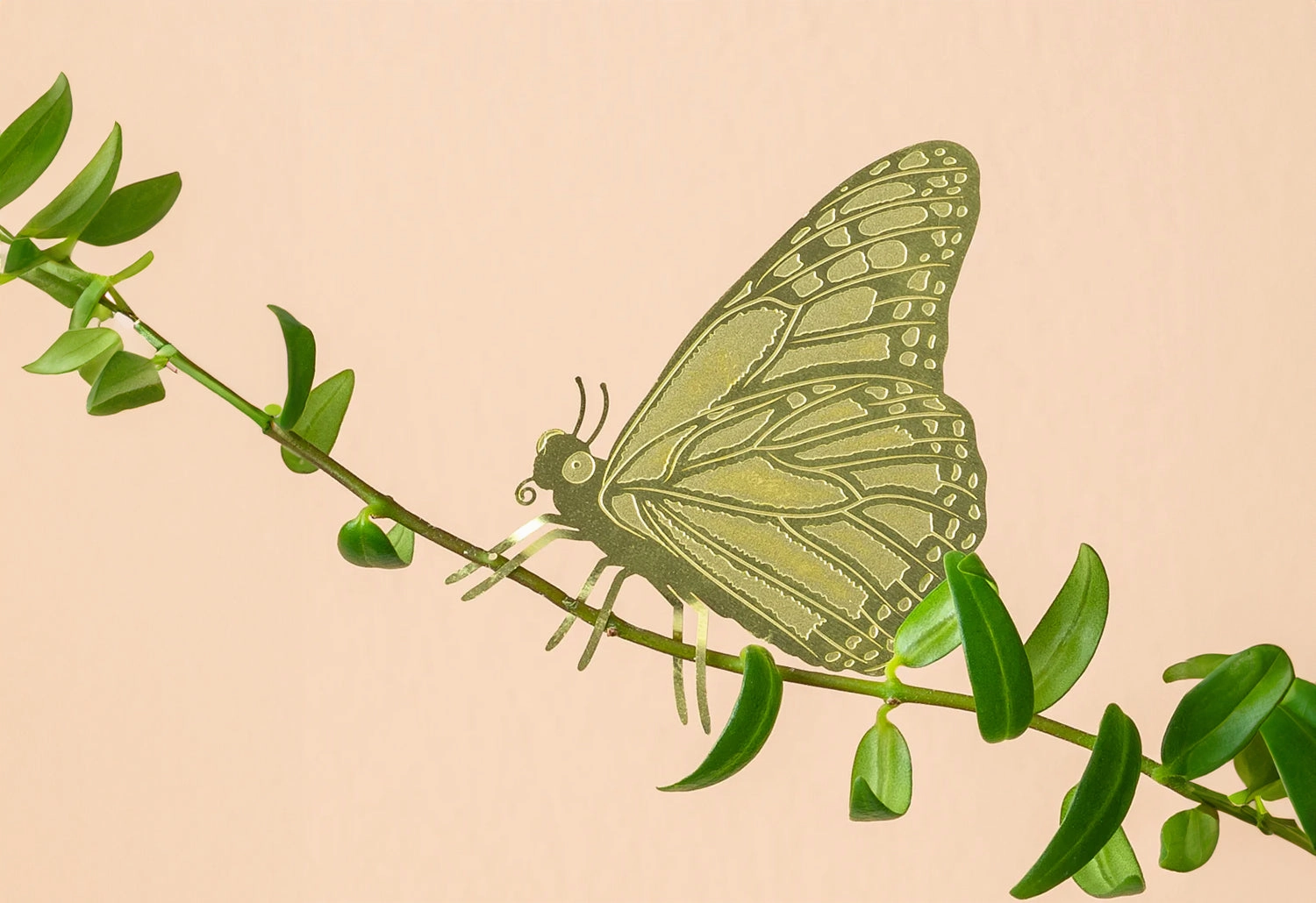 Plant Animals