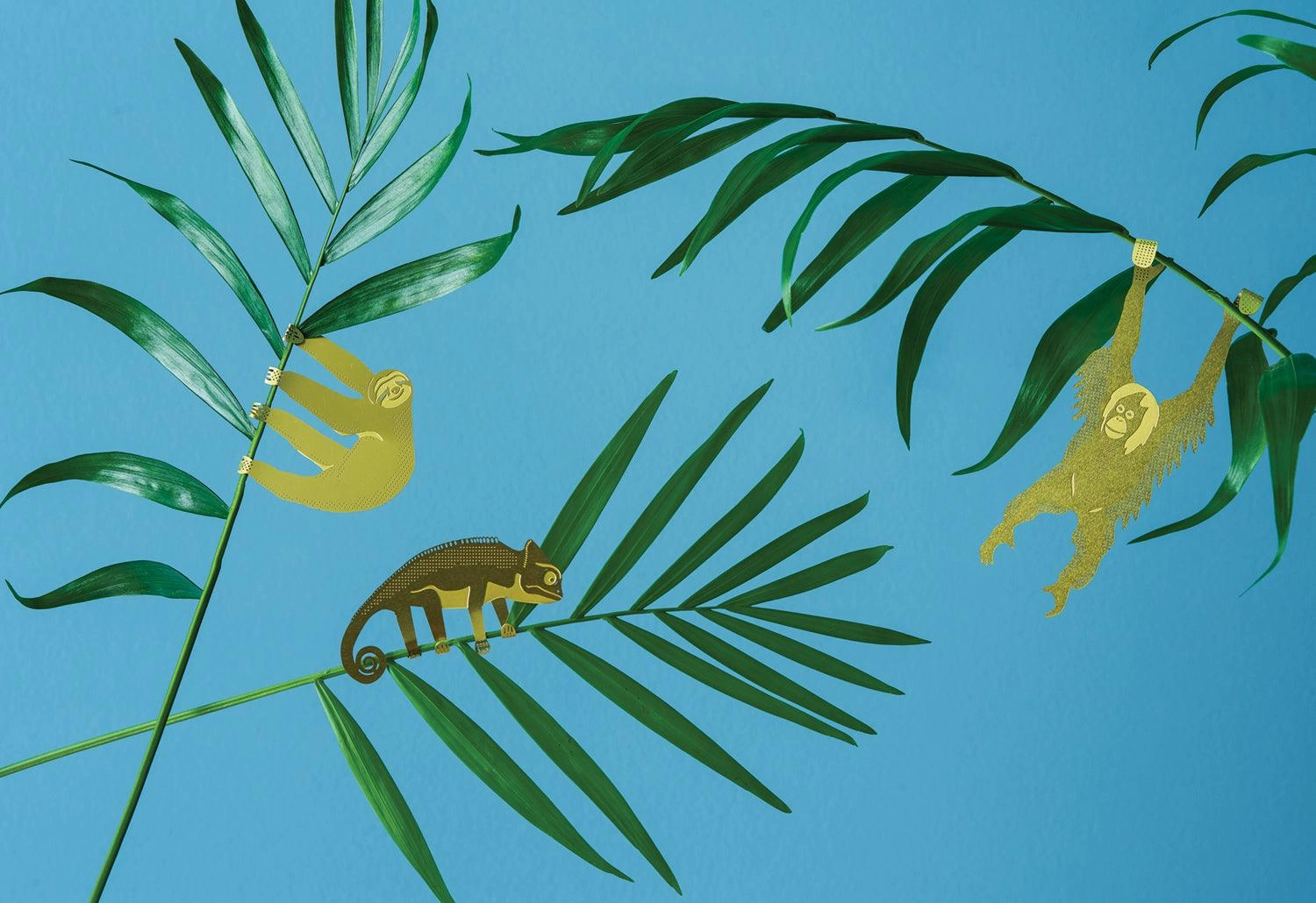 Plant Animals
